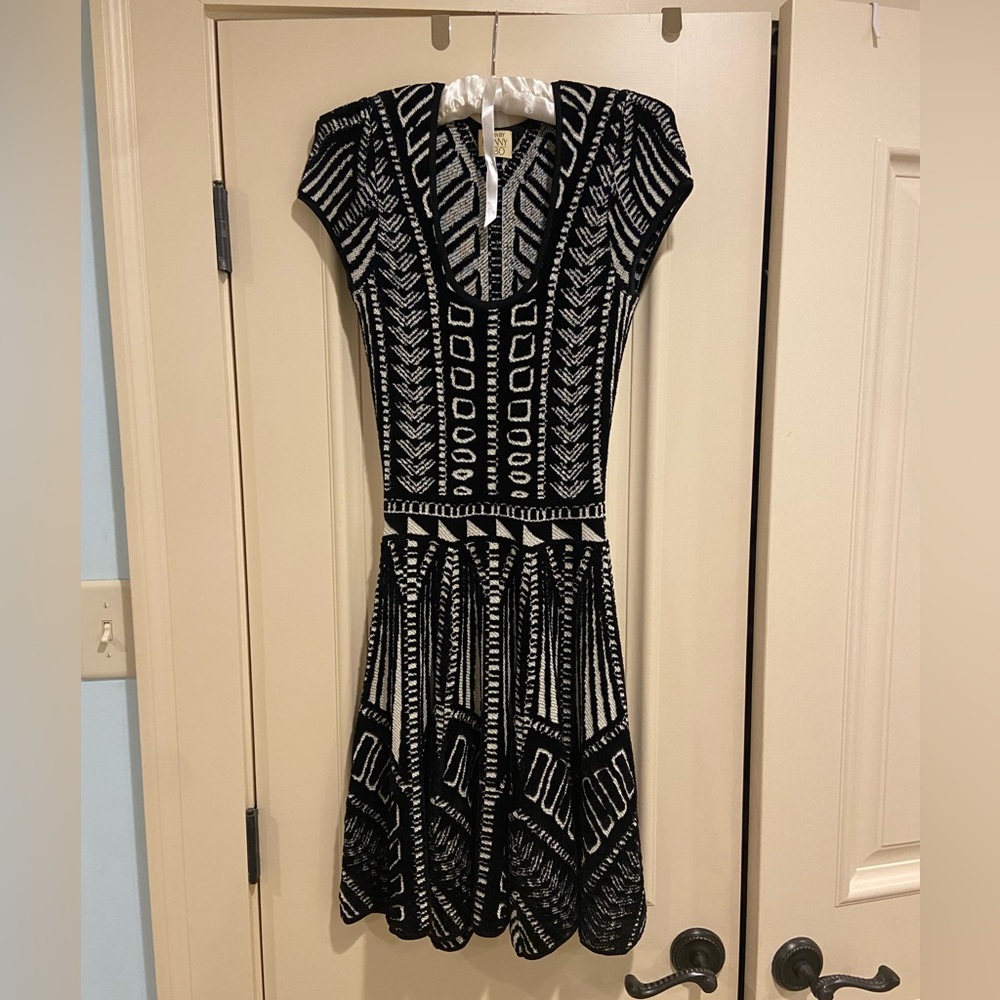 Torn by Ronny Kobo Dress (Black/White)